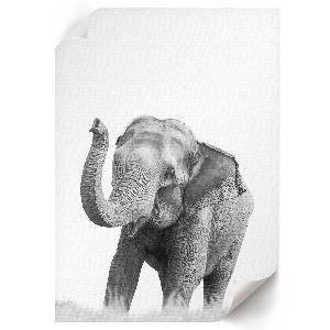 Poster auf leinwand Künstlerischer Elefant