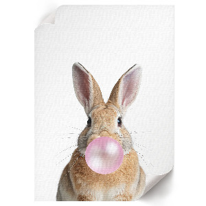 Bilder poster Hase mit Kaugummi