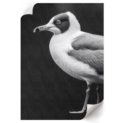 Poster leinwand Vogelporträt
