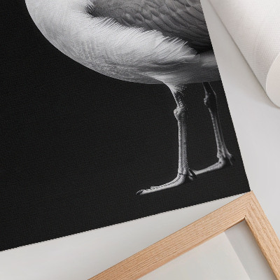 Poster leinwand Vogelporträt