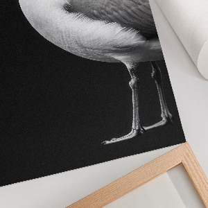 Poster leinwand Vogelporträt
