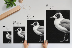 Poster leinwand Vogelporträt