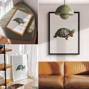 Poster auf leinwand Schildkröte