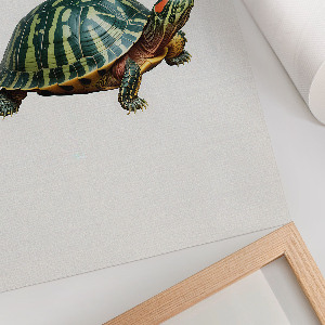 Poster auf leinwand Schildkröte