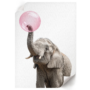 Bilder poster Kaugummi-Elefant