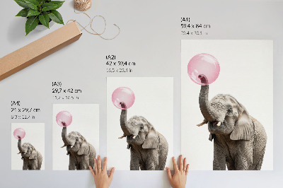 Bilder poster Kaugummi-Elefant
