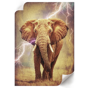 Bilder poster Elefant mit Blitz