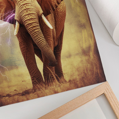 Bilder poster Elefant mit Blitz
