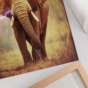 Bilder poster Elefant mit Blitz