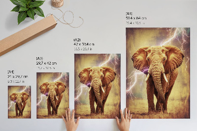 Bilder poster Elefant mit Blitz