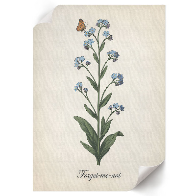 Poster leinwand Vergissmeinnichtblume