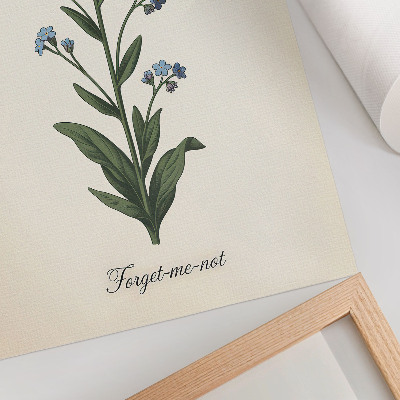 Poster leinwand Vergissmeinnichtblume
