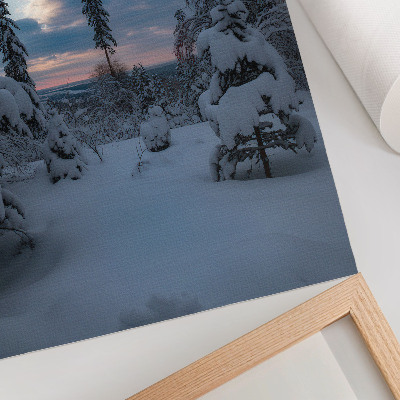 Poster auf leinwand Winterlandschaft