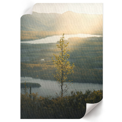 Poster auf leinwand Landschaft der Natur