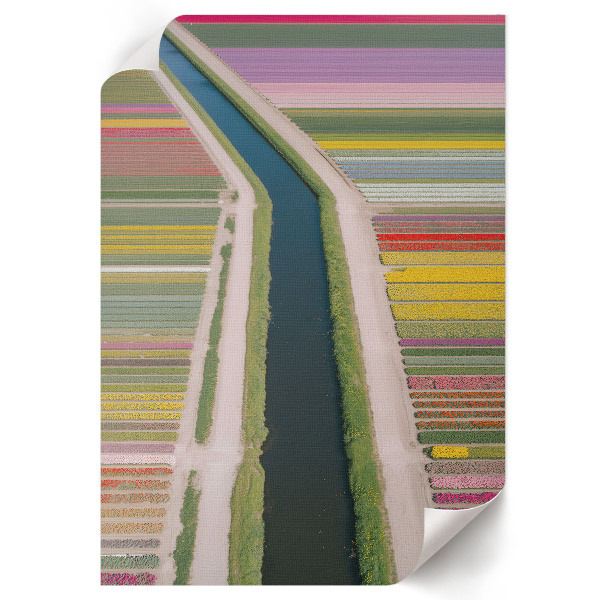 Wandposter mit Blumenfeldern