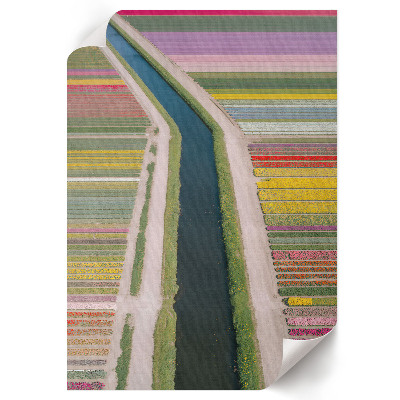Wand poster Blumenfelder
