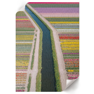 Wandposter mit Blumenfeldern