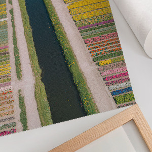 Wandposter mit Blumenfeldern