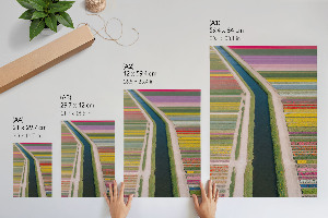 Wandposter mit Blumenfeldern