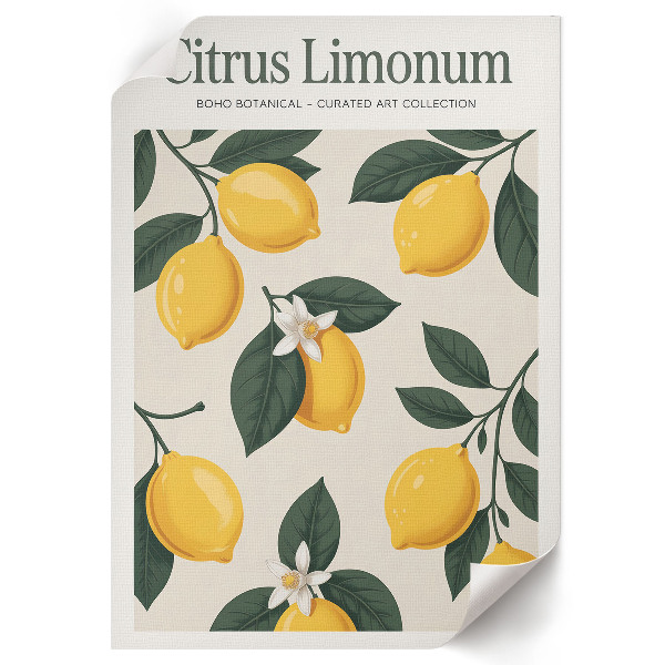 Retro poster Citrus Limonum
