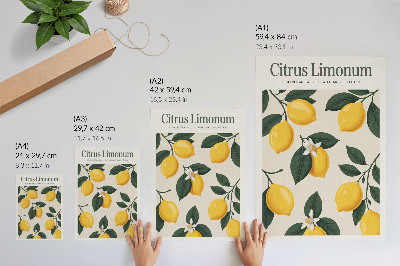 Retro poster Citrus Limonum