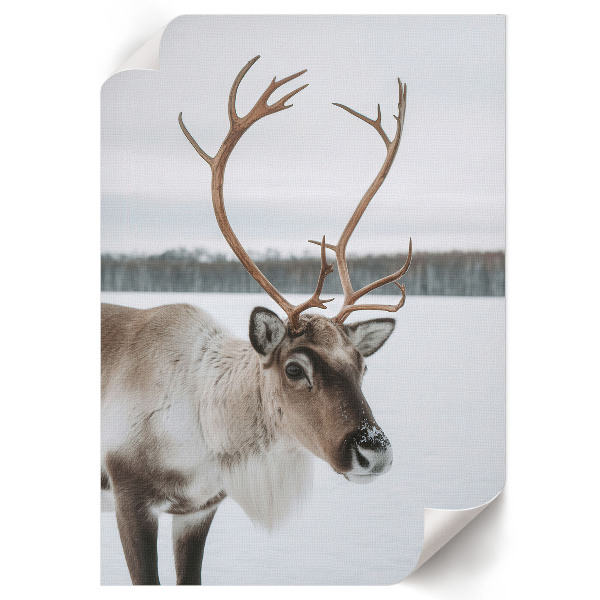 Retro-Poster mit Winterrentier