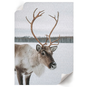 Retro poster Winterrentier