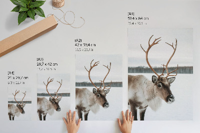 Retro poster Winterrentier