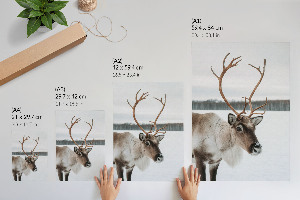 Retro-Poster mit Winterrentier
