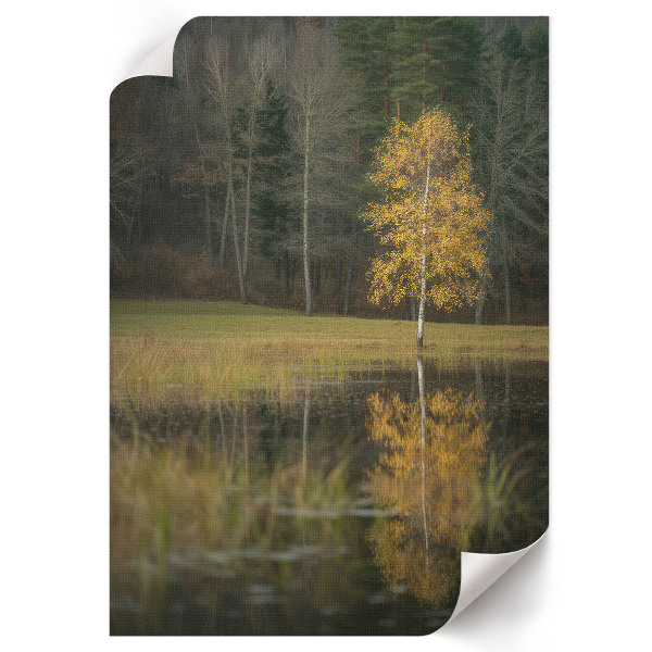 Kunstdruck leinwand Herbstlandschaft