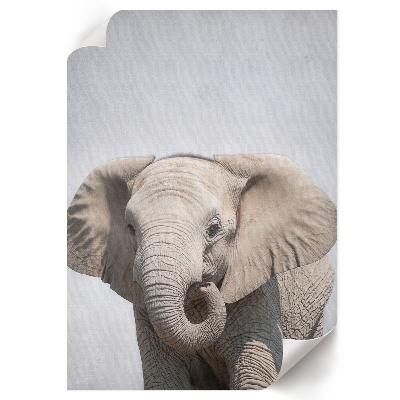 Wand poster Elefant und Frieden