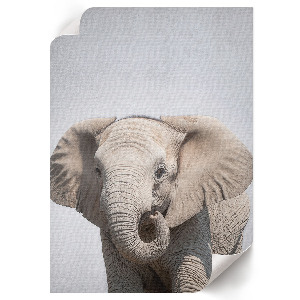 Wand poster Elefant und Frieden