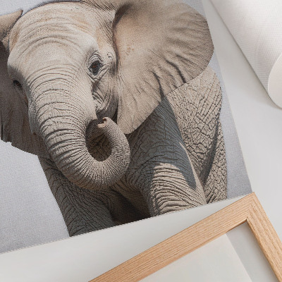 Wand poster Elefant und Frieden