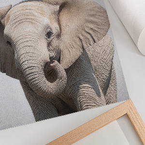 Wandposter mit Elefantenmotiv und Friedenssymbol