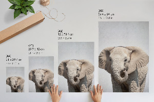 Wandposter mit Elefantenmotiv und Friedenssymbol