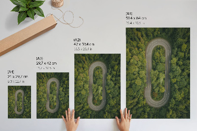 Poster leinwand Waldabenteuer