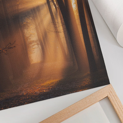 Poster kunstdruck Morgendämmerung im Wald