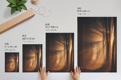 Poster kunstdruck Morgendämmerung im Wald