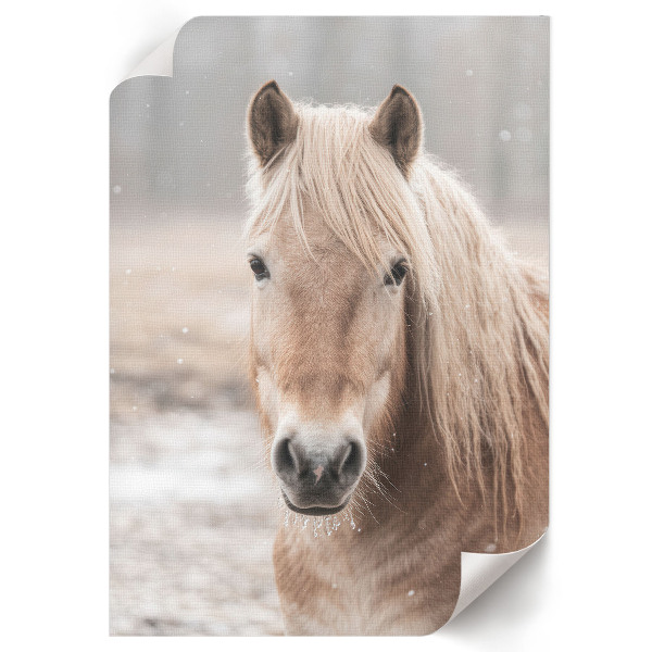 Poster leinwand Winterpferd