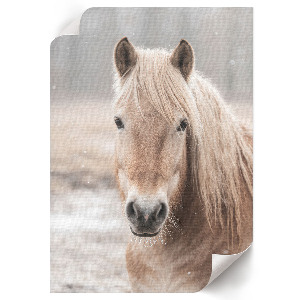 Poster leinwand Winterpferd