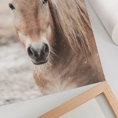 Poster leinwand Winterpferd