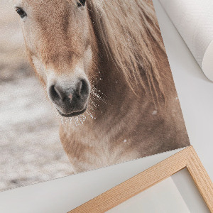 Poster leinwand Winterpferd