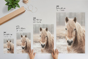Poster leinwand Winterpferd