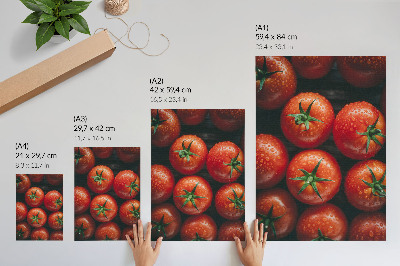 Poster leinwand Frische Tomaten