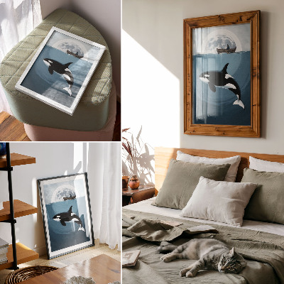 Bilder poster Mondabenteuer