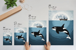 Bilder poster Mondabenteuer