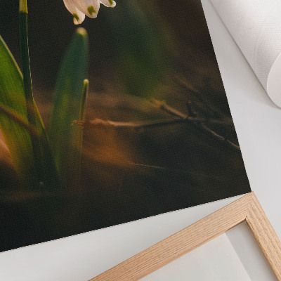 Kunstdruck leinwand Frühlingsschneeglöckchen