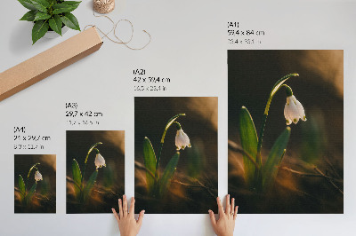 Kunstdruck leinwand Frühlingsschneeglöckchen