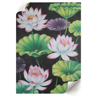 Bilder poster Lotusblumen