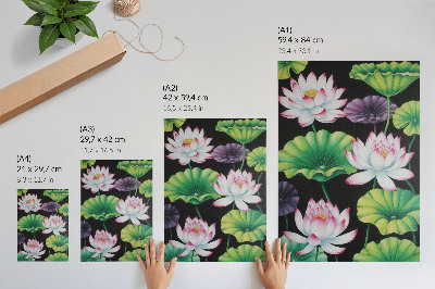 Bilder poster Lotusblumen